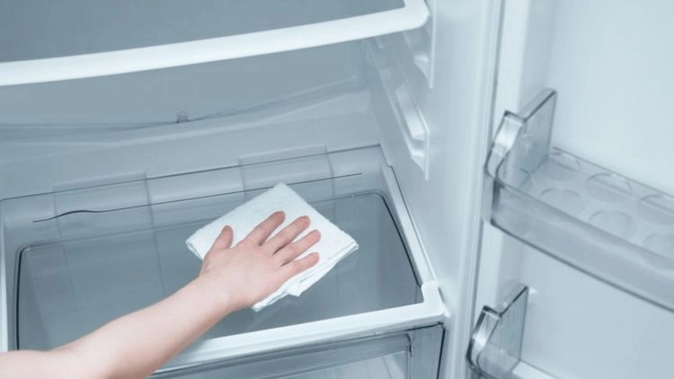 Den Kühlschrank reinigen