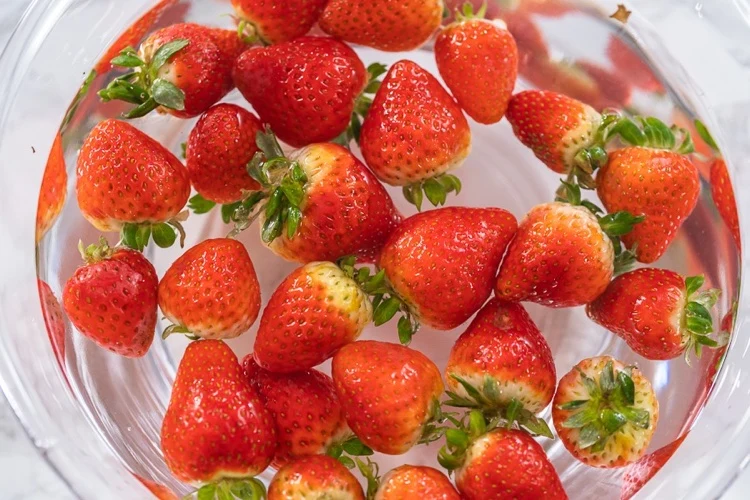 Erdbeeren im Bad mit Wasser und Essig einweichen um länger haltbar zu machen