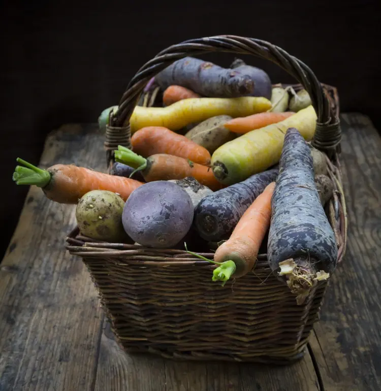 Gemüse für den Winter - Was kann gesät werden und was aus dem Sommer im Beet bleiben