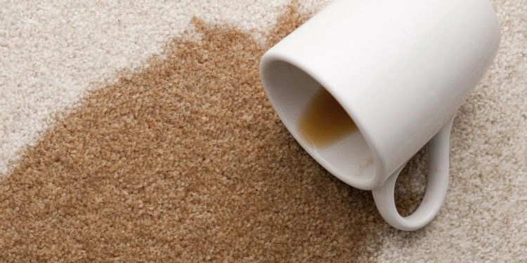 Kaffeeflecken entfernen und Teppich reinigen