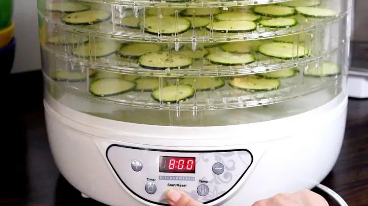 knusprige zucchini chips im dörrautomat rezept kalorienarme snacks vegan
