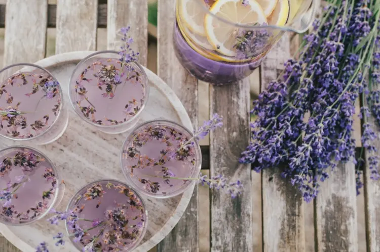 Lavendelsirup selber machen mit Zitrone - Rezepte für Topf oder Thermomix
