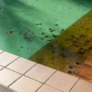 nach der winterzeit schmutzige ablagerungen am poolboden reinigen