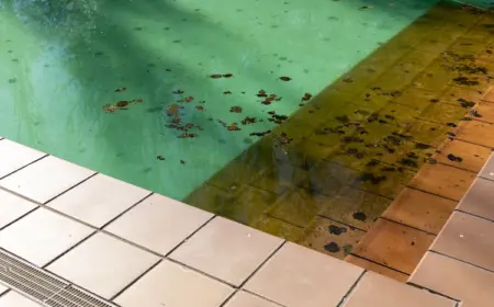 nach der winterzeit schmutzige ablagerungen am poolboden reinigen