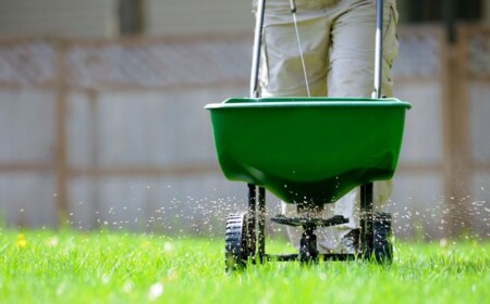 Soll man den Rasen im Sommer düngen?