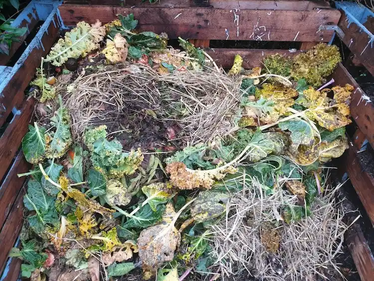 stroh und pflanzenblätter unterstützen den prozess der kompostierung im garten