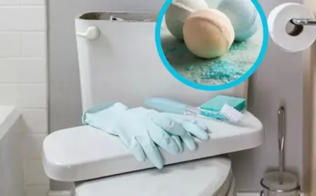 Toilettenspülkasten reinigen mit folgenden Tricks