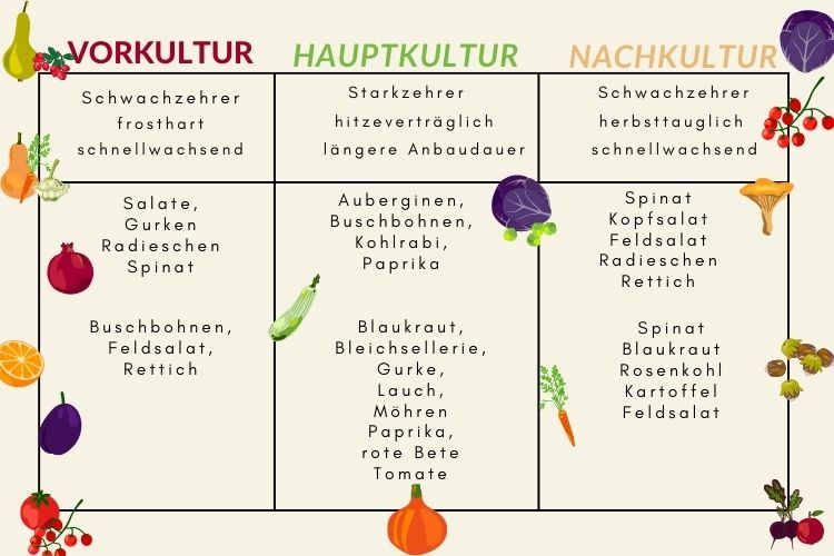 vorkultur und nachkultur