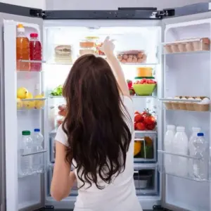 Was hilft gegen Feuchtigkeit im Kühlschrank?
