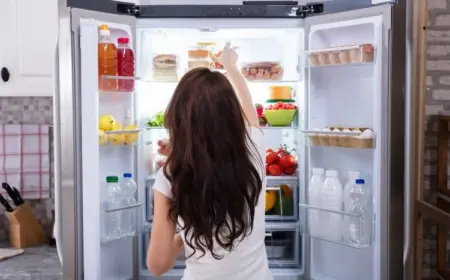 Was hilft gegen Feuchtigkeit im Kühlschrank?