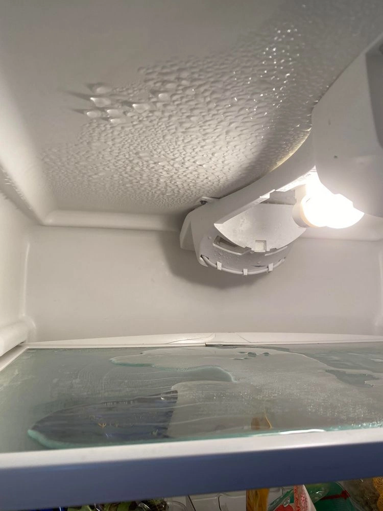Was hilft gegen Feuchtigkeit im Kühlschrank - Hausmittel