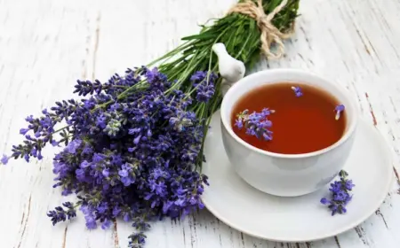 was kann man mit lavendelblüten machen vielseitige gesundheitliche anwendungen