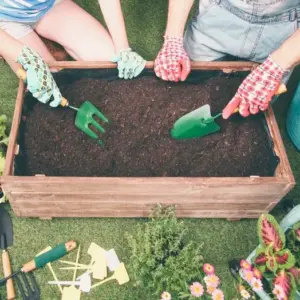 Welches Gemüse kann man im Juli anbauen?