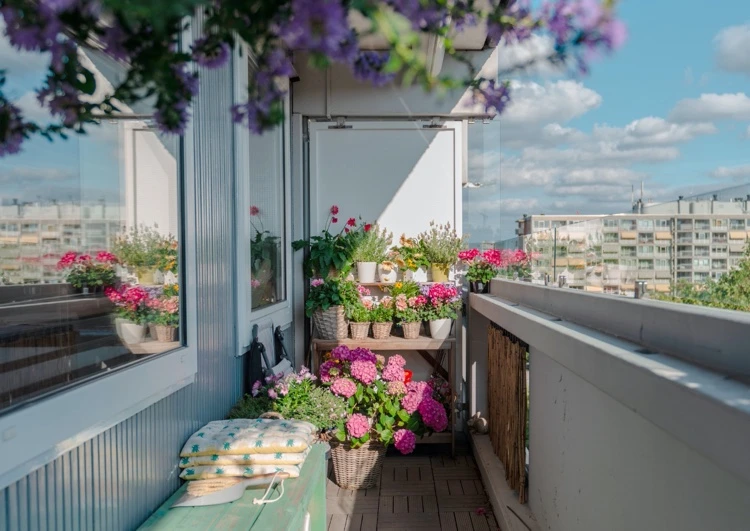Wie den Balkon im Sommer verschönern mit Blumen auf Blumenregal