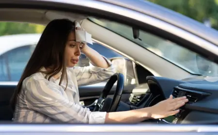 wie sich bei hitzewellen ein auto schnell kühlen lässt