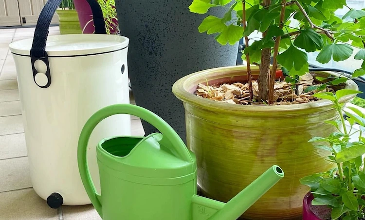zimmerpflanzen düngen und dafür bokashi kompost verwenden