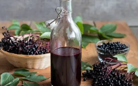 Aronia Saft selbst herstelllen - Rezept