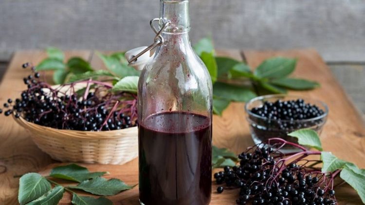 Aronia Saft selbst herstelllen - Rezept