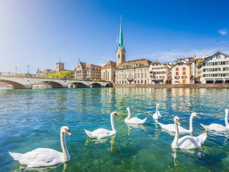 Die schönsten Seen in der Schweiz Zürichsee Aktivitäten im Sommer