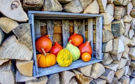 Einfache Herbstdeko für draußen im Holzstapel mit Holzkiste und Kürbissen
