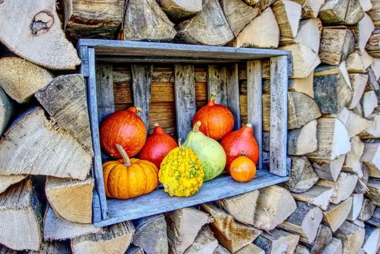 Einfache Herbstdeko für draußen im Holzstapel mit Holzkiste und Kürbissen