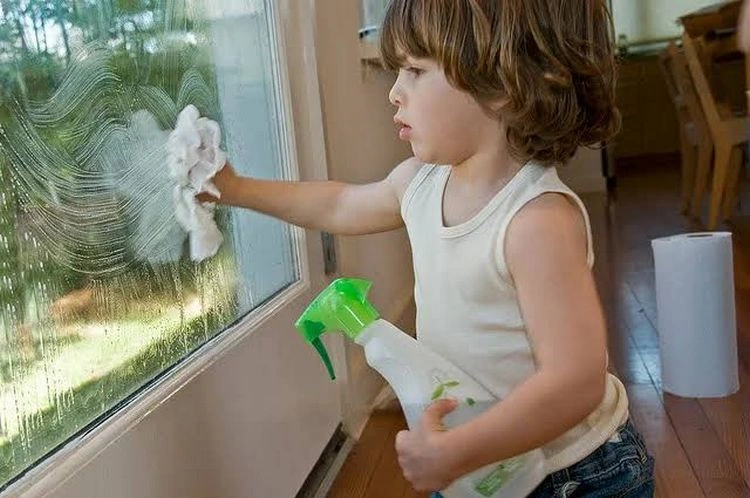 Fehler beim Fensterputzen - Einweghandtücher verwenden