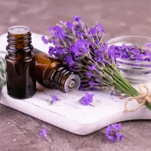 fliegen vertreiben mit lavendel wie lavendel gegen die schädlinge einsetzen