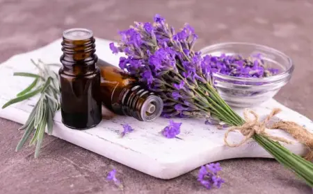 fliegen vertreiben mit lavendel wie lavendel gegen die schädlinge einsetzen