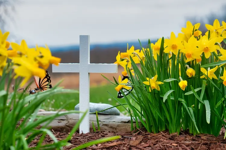 Friedhofsbepflanzung, die auch zu Hause funktioniert - Tipps und Ideen fürs Haustiergrab