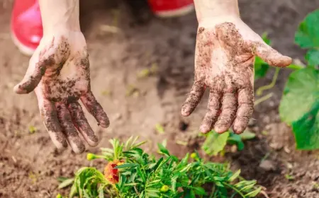 gartenhände reinigen und pflegen diese wirksamen methoden und hausmittel kommen zur hilfe