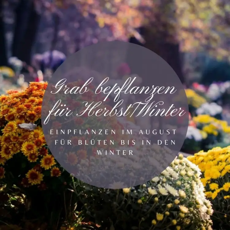 Grabbepflanzung für den Herbst und Winter - Ideen, Fotos und Tipps zur Blumen-Pflege