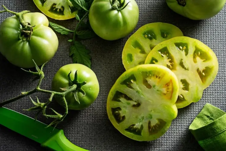 grüne Tomaten erkennen und ernten (1)