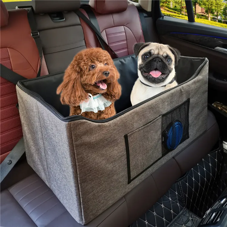 hundebox fürs auto reisen mit hund tipps