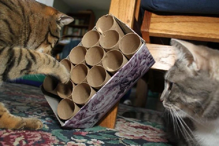 Katzenspielzeug aus Papprollen selber machen