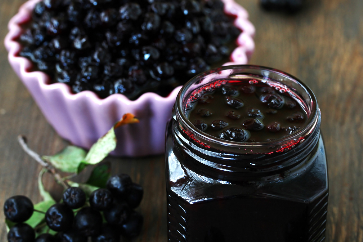 leckere aronia konfitüre neben frischer aronia