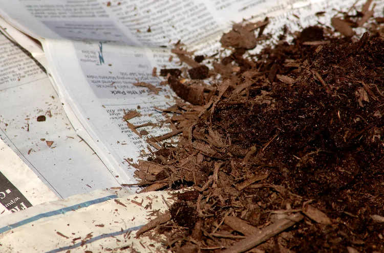 mulch auf zeitung verlegen gegen unkraut