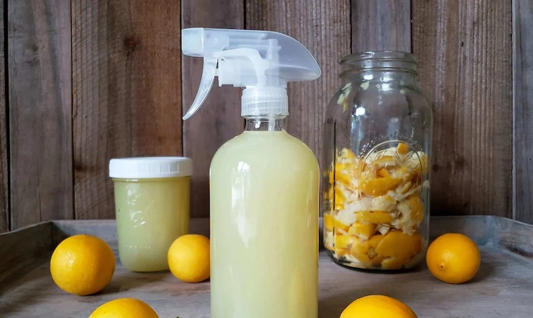 orangenöl zum putzen reinigungsmittel selber herstellen