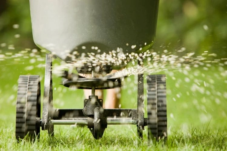 Rasen düngen bei Regen - hilfreiche Tipps, wie Sie Ihren Rasen im August pflegen sollten