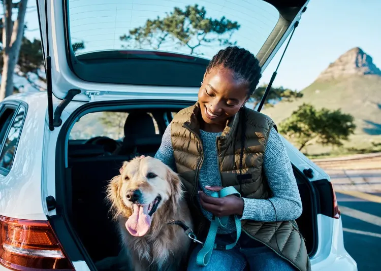 reisen mit hund tipps hundefreundliche länder in europa