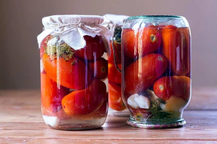 sie können einfach und schnell tomaten fermentieren