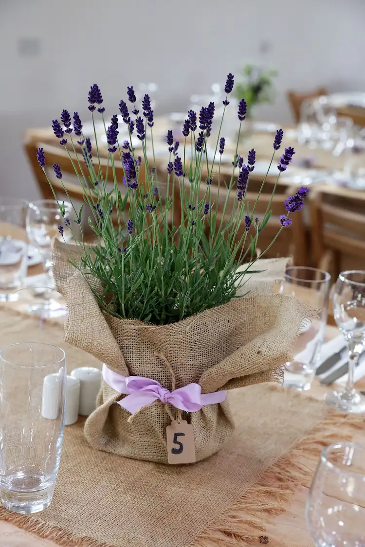 Tischdeko mit getopftem Lavendel