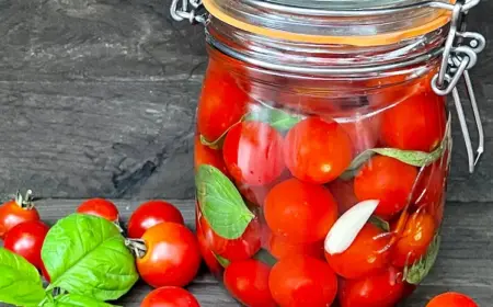 Tomaten fermentieren Schritt für Schritt Anleitung