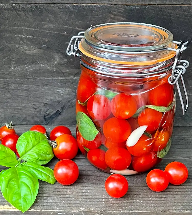 Tomaten fermentieren Schritt für Schritt Anleitung