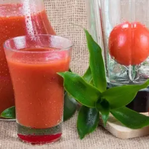 tomatensaft selber machen frisch und zum einmachen