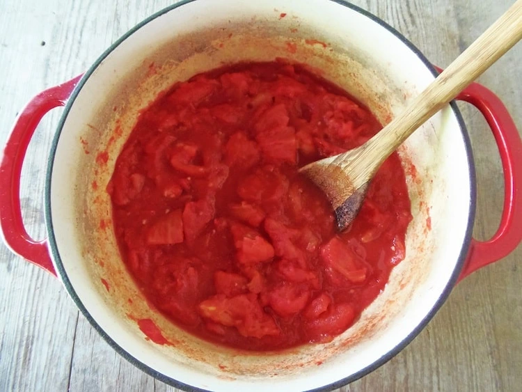 zerkleinerte tomaten einfrieren