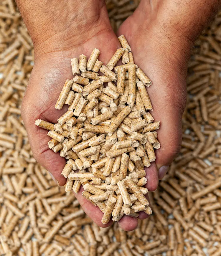 aus holz oder anderer biomasse pellets selber herstellen können