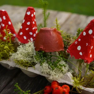 Basteln mit Eierkarton für den Herbst - Kleine Landschaft mit Moos und Fliegenpilzen