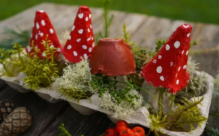 Basteln mit Eierkarton für den Herbst - Kleine Landschaft mit Moos und Fliegenpilzen