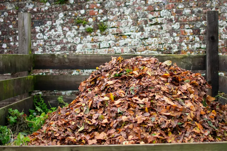 Den Kompost im Herbst umsetzen