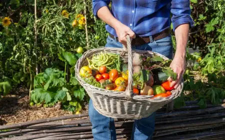 die 7 wichtigsten gartenarbeiten im september